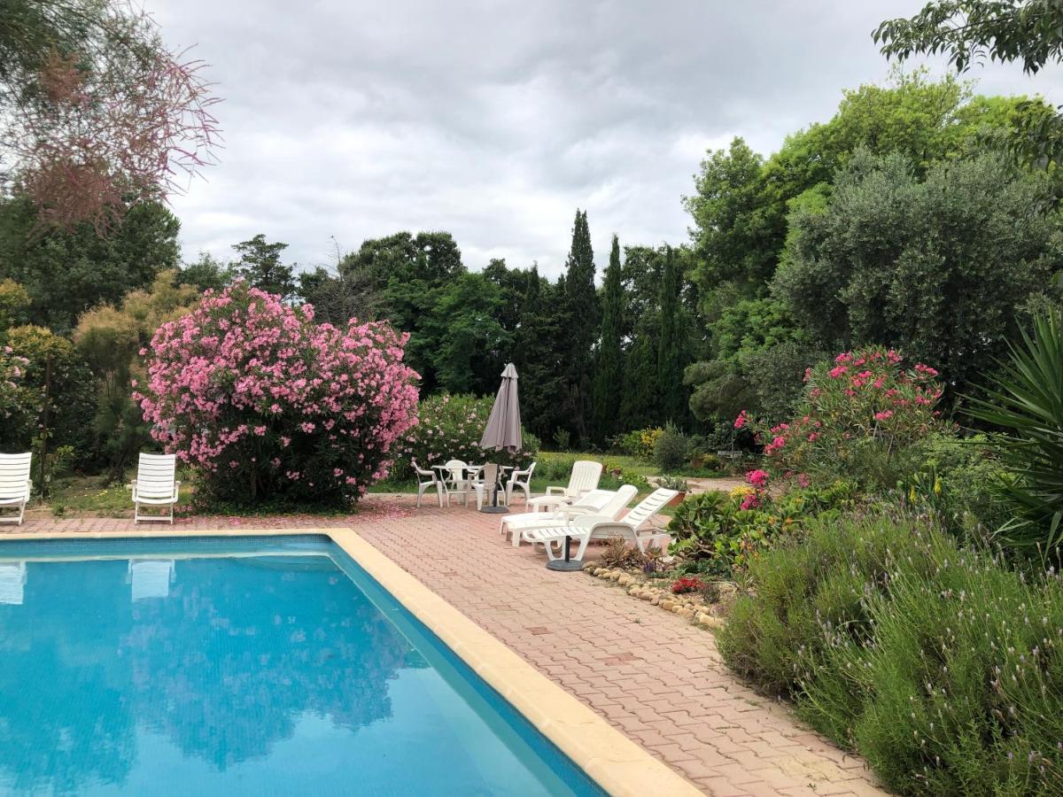 Duplex 130M2 Dans Un Mas Entoure De Vergers - Piscine Saint-Feliu-d'Avall エクステリア 写真