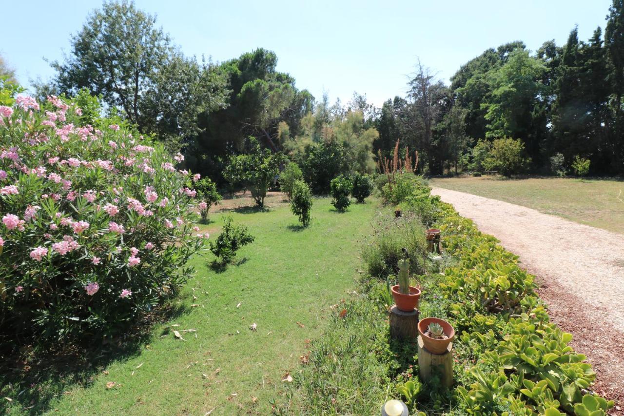 Duplex 130M2 Dans Un Mas Entoure De Vergers - Piscine Saint-Feliu-d'Avall エクステリア 写真